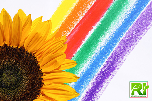 girasole piccolo
